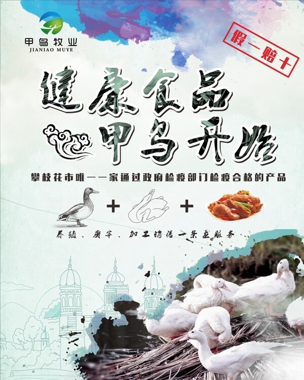 雞鴨海報