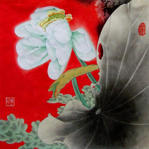 荷頌圖片