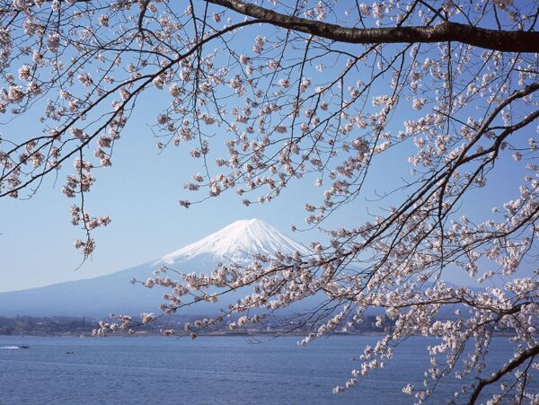 富士山圖片