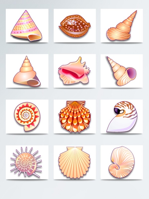 海洋彩色海螺贝壳图标素材