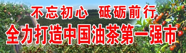 油茶強市