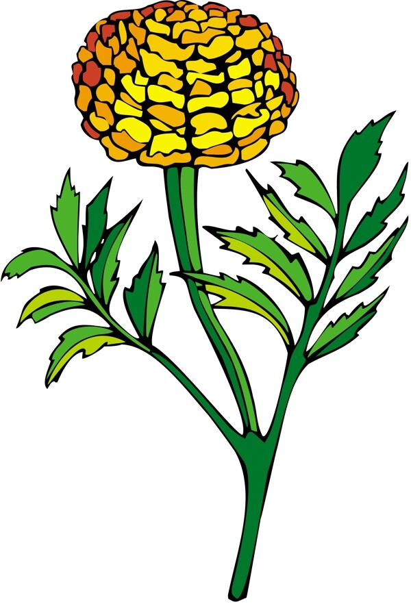 花朵花草鮮花矢量EPS格式0081