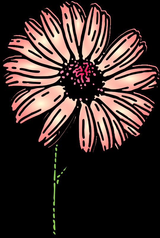 2色的雛菊