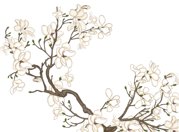 中式花圖玄關(guān)