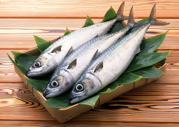 海鮮食材圖片