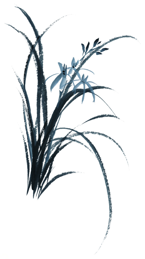 蘭花藝術(shù)