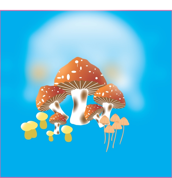 蘑菇圖片