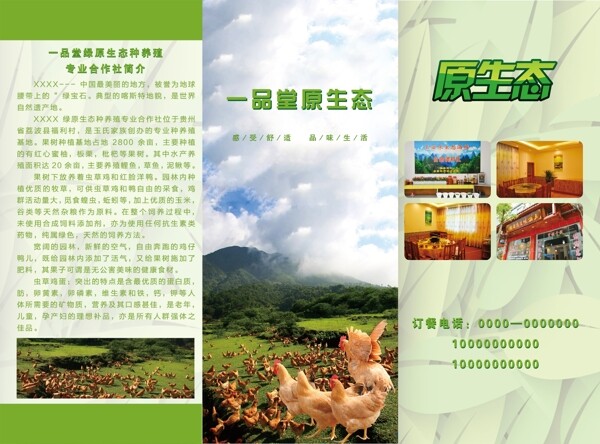 三折頁