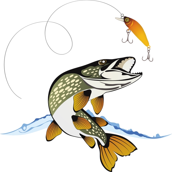 矢量魚圖片