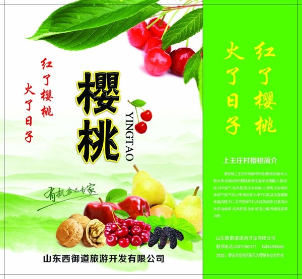 櫻桃手提袋