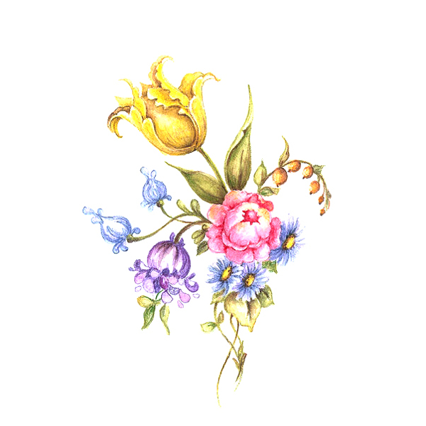 位圖植物寫意花卉花朵郁金香免費(fèi)素材