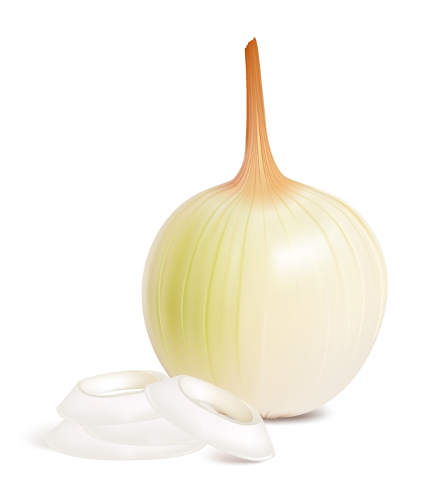 矢量蔬菜