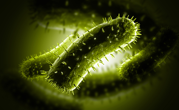 绿色的细菌群图片