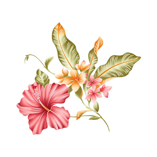 位圖植物寫意花卉花朵野花免費(fèi)素材