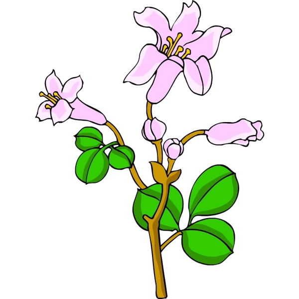 花卉古典插畫(huà)
