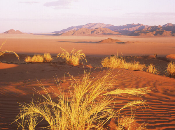 沙漠风光美景图片