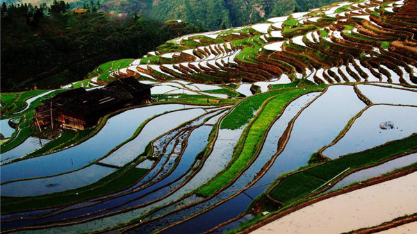 田園風光
