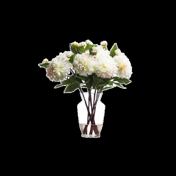 清新白色小花朵花束实物元素