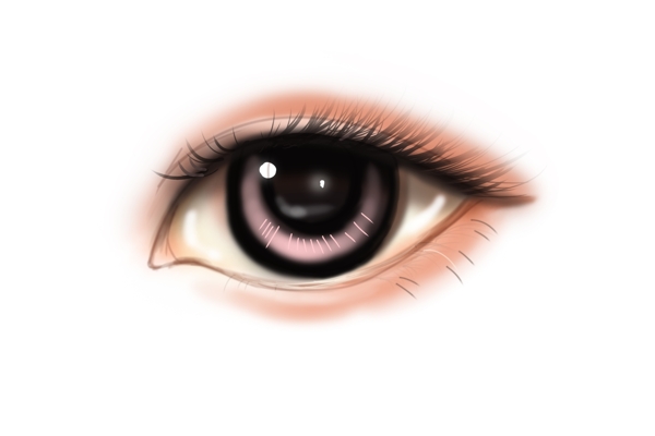 人体器官眼睛插画