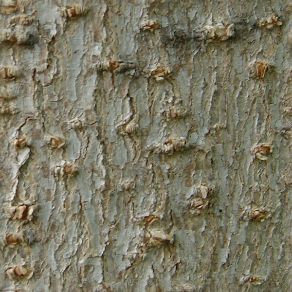 位圖特殊紋理免費(fèi)素材
