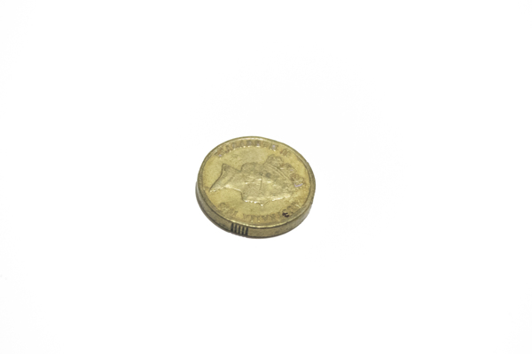 黄色的澳元硬币两刀