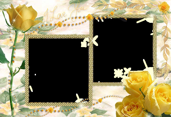 黄色玫瑰花照片相框