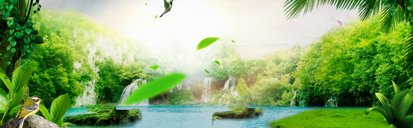 清新綠色森林banner背景素材