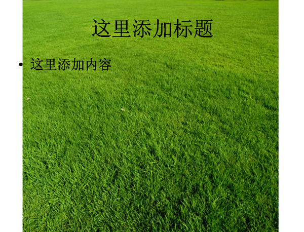 綠色草地背景