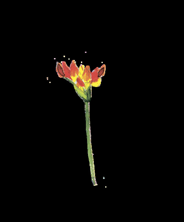 红火花叶卡通透明素材