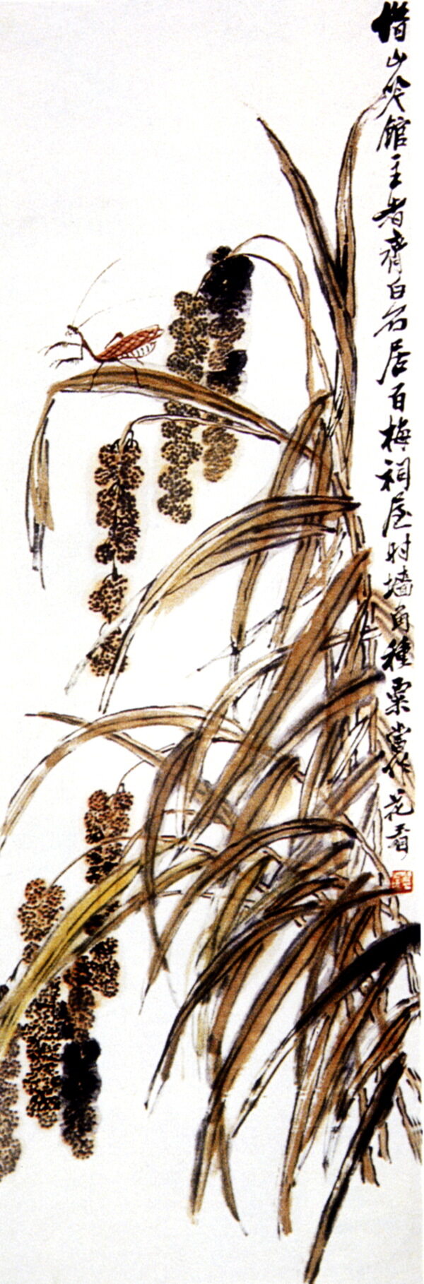 國(guó)畫(huà)谷穗圖片