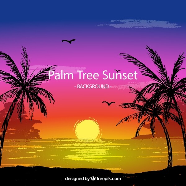 海滩夕阳和棕榈树图片