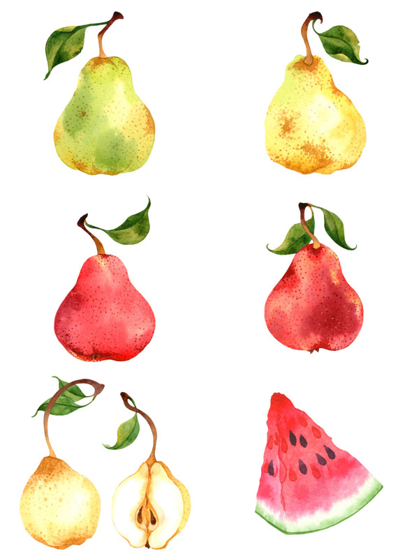 水彩绘新鲜的水果插画