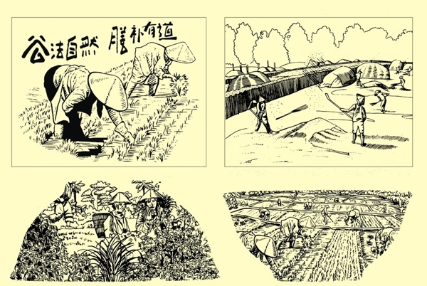 豐收農業(yè)矢量圖圖片