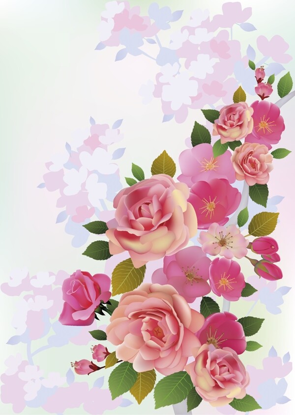 浪漫玫瑰花