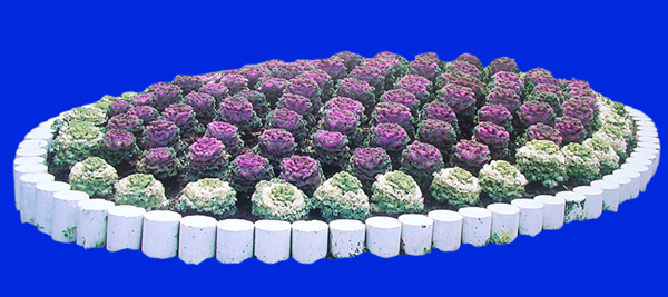 花壇014植物素材