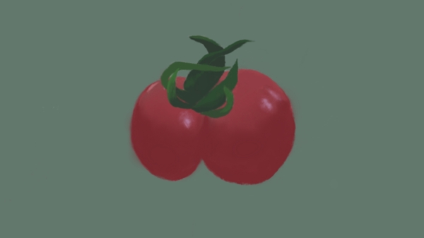 番茄小番茄西红柿蔬菜水果