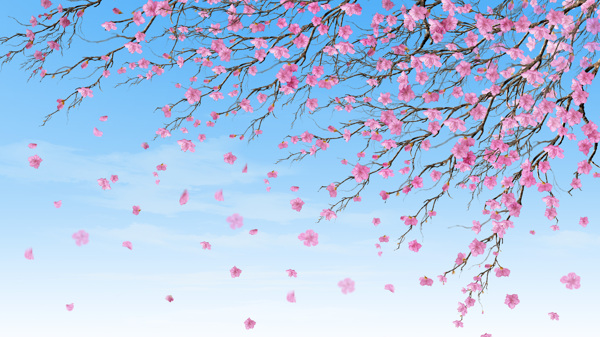 春季落花素材