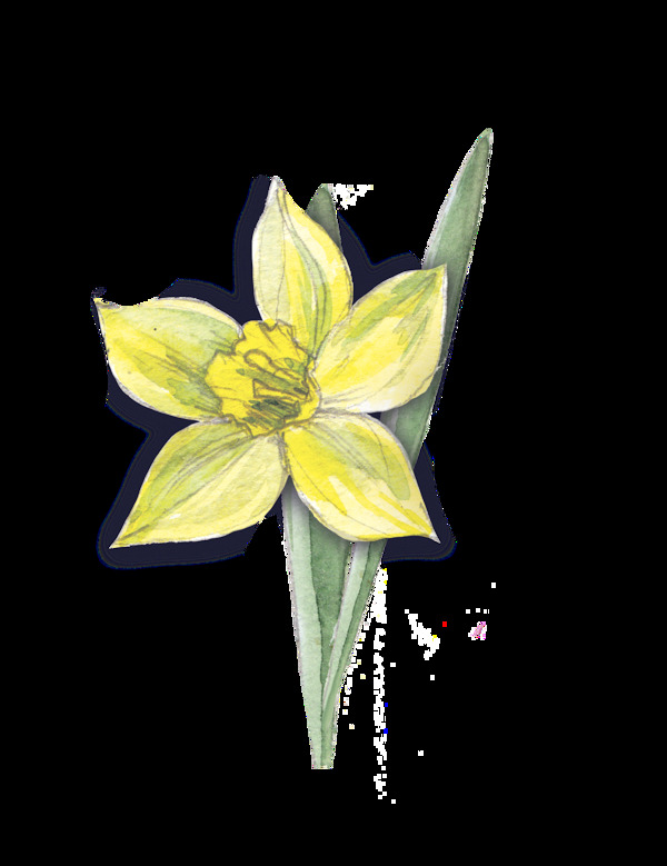 全黃花葉卡通透明素材