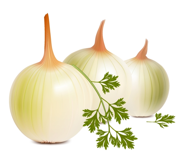 矢量蔬菜