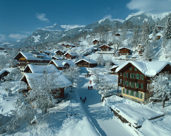 冬天雪景雪景大雪
