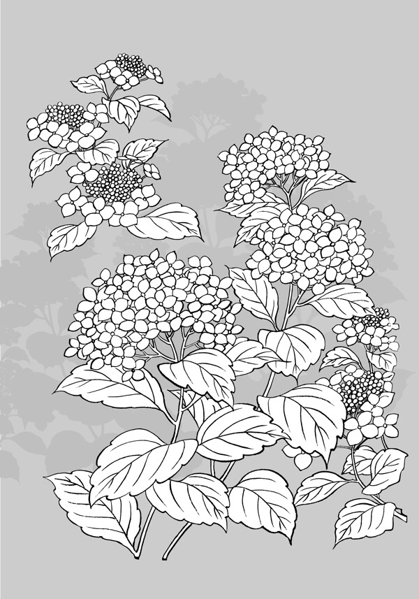 花朵葉子矢量素材