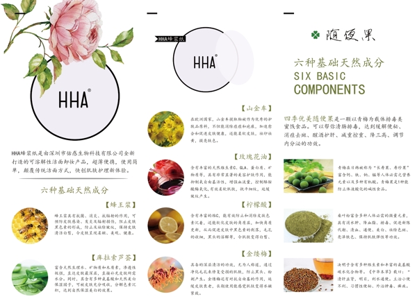 手繪風格三折頁
