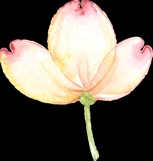 紅尖花蕊透明素材