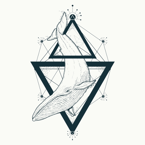 鲸鱼三角形矢量图下载