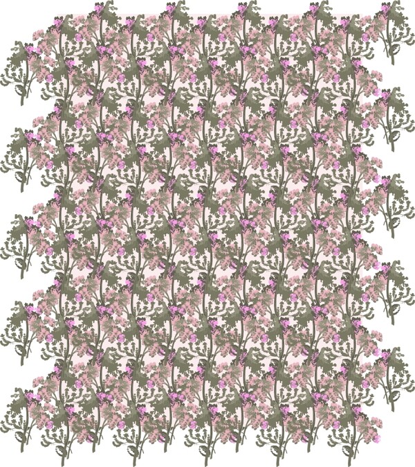 矢量圖田園風(fēng)花卉免費素材