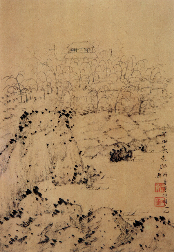 石濤平田菜麥肥圖片