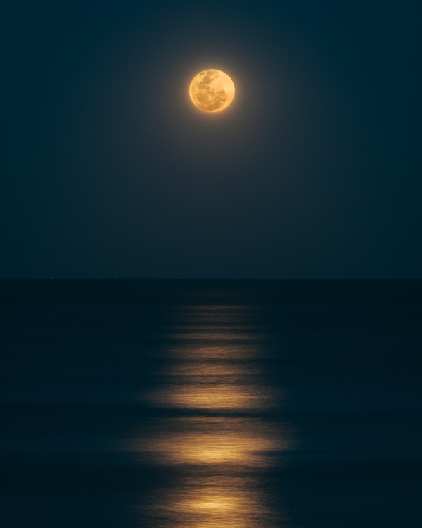 海水月亮图片