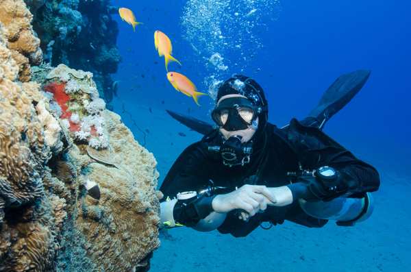 海底岩石边的潜水员图片