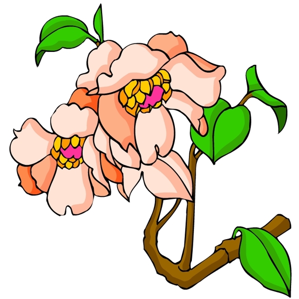 花卉古典插畫