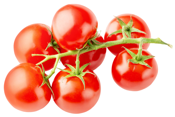一串红色番茄图片